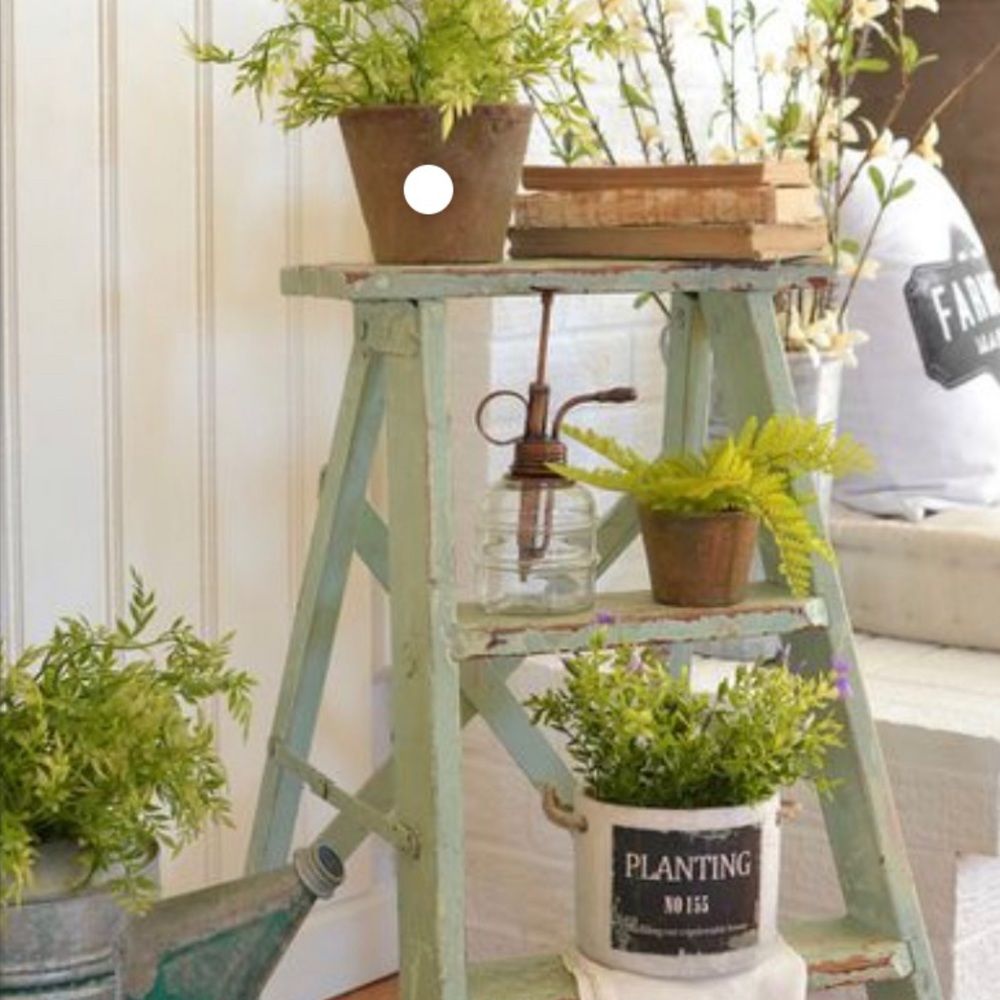 Meet your Posher, Catharine